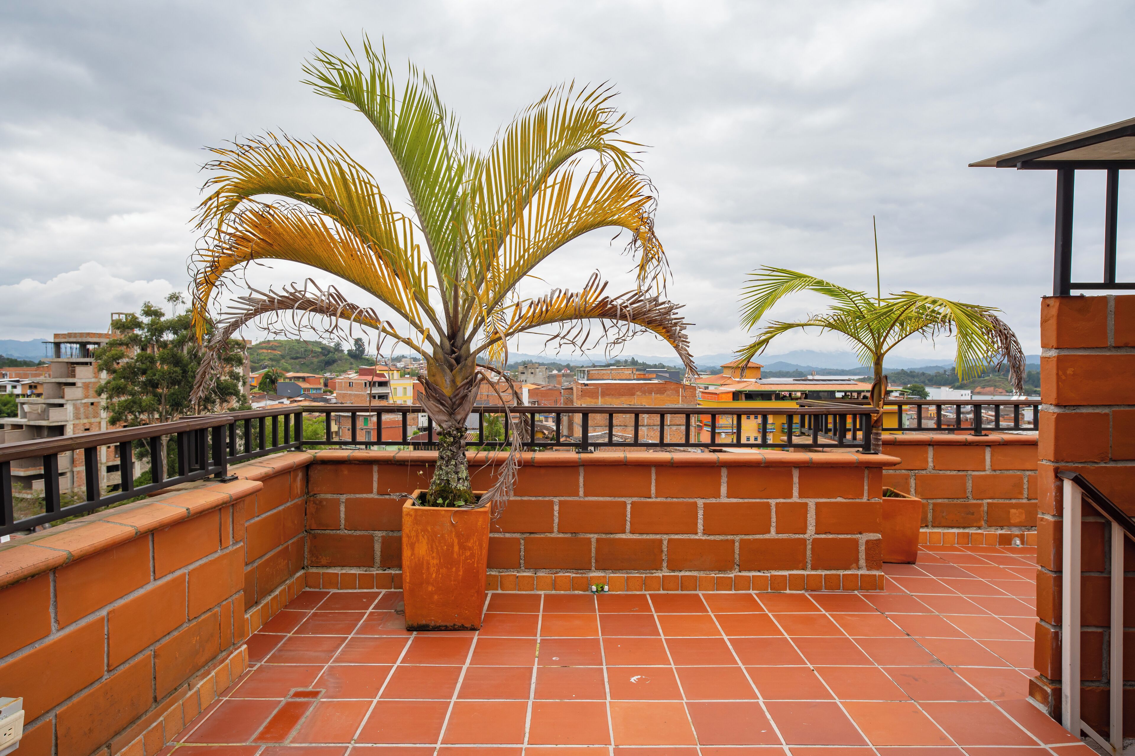 En tagterrasse med terracotta fliser, en plantekasse med palmetræ og en murstensmur.