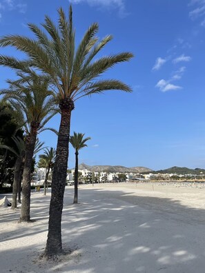 On the beach, sun-loungers