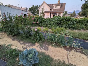 Detalle del exterior