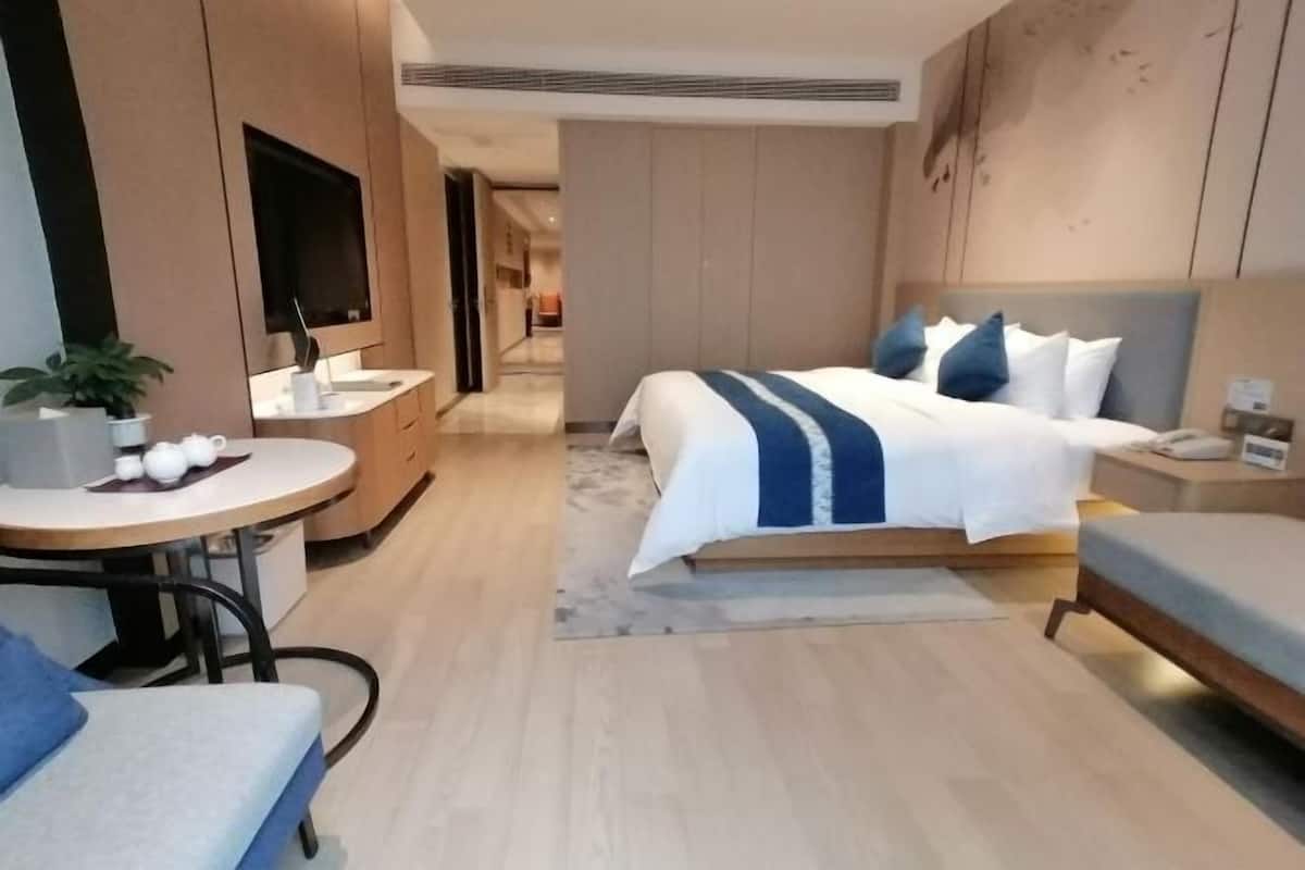 Habitación de hotel moderna con cama, escritorio, silla, televisión y una mesita con una planta.