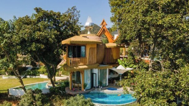 Una construcción tipo casa en los árboles con piscina, rodeada de abundante vegetación.