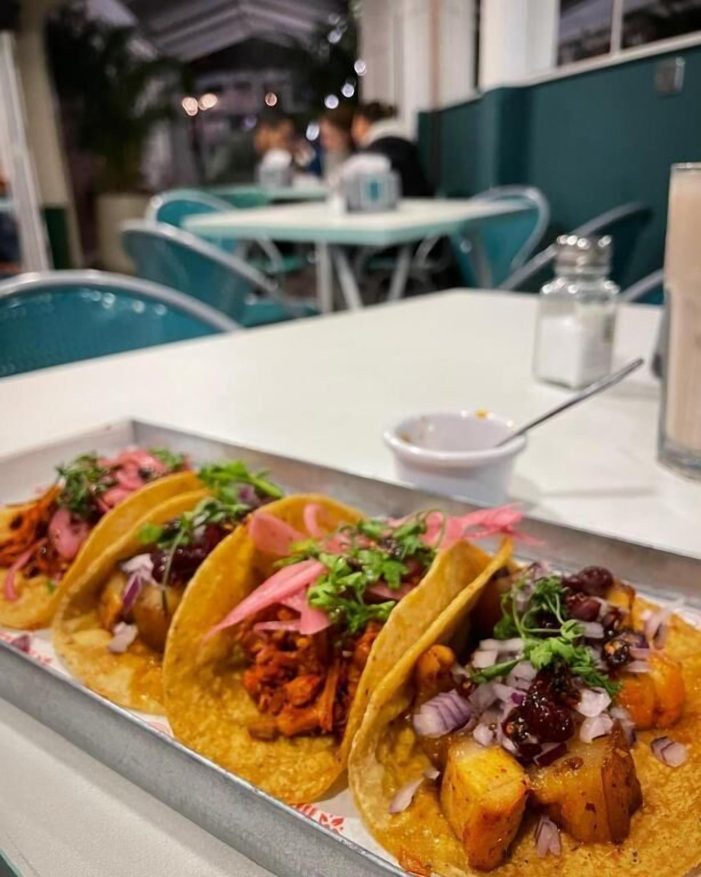 Foto - Marietta - House of Social Travellers