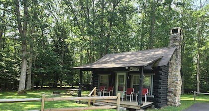 Swallow Falls Cabin 1