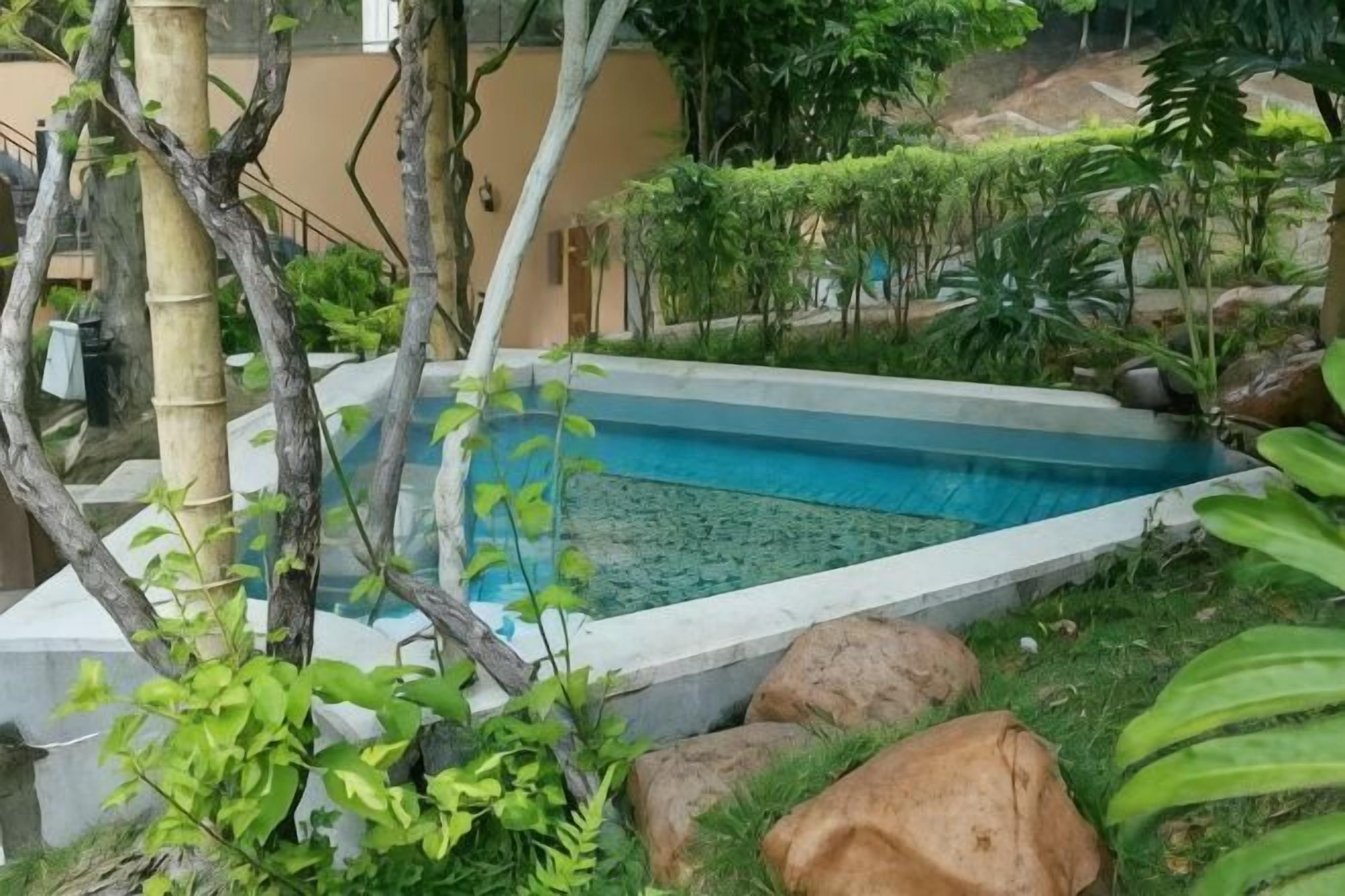 Une piscine entourée de verdure et de rochers.