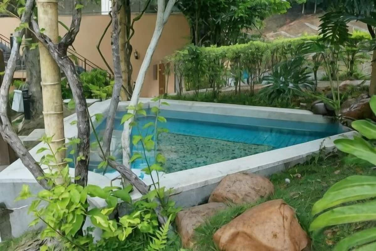A swimming pool surrounded by greenery and rocks.