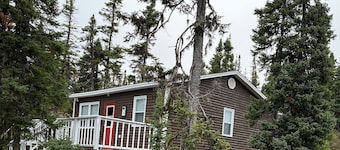 BCC Cabin 1