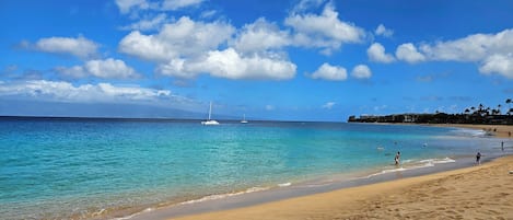 Plage, chaises longues, serviettes de plage