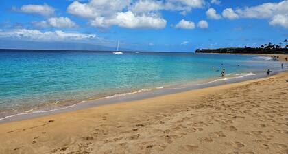 Westin Ka'anapali Ocean Resort Villas N, OCEAN FRONT 1 Bedrm PremiumSte 12/13-20