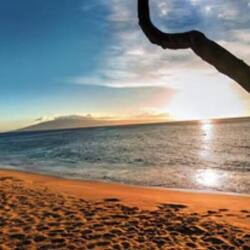 On the beach, sun loungers, beach towels