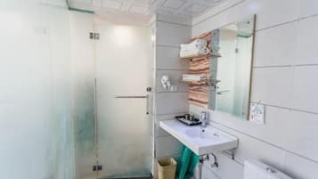 A modern bathroom with a glass shower enclosure, a white sink, and a mirror above it.