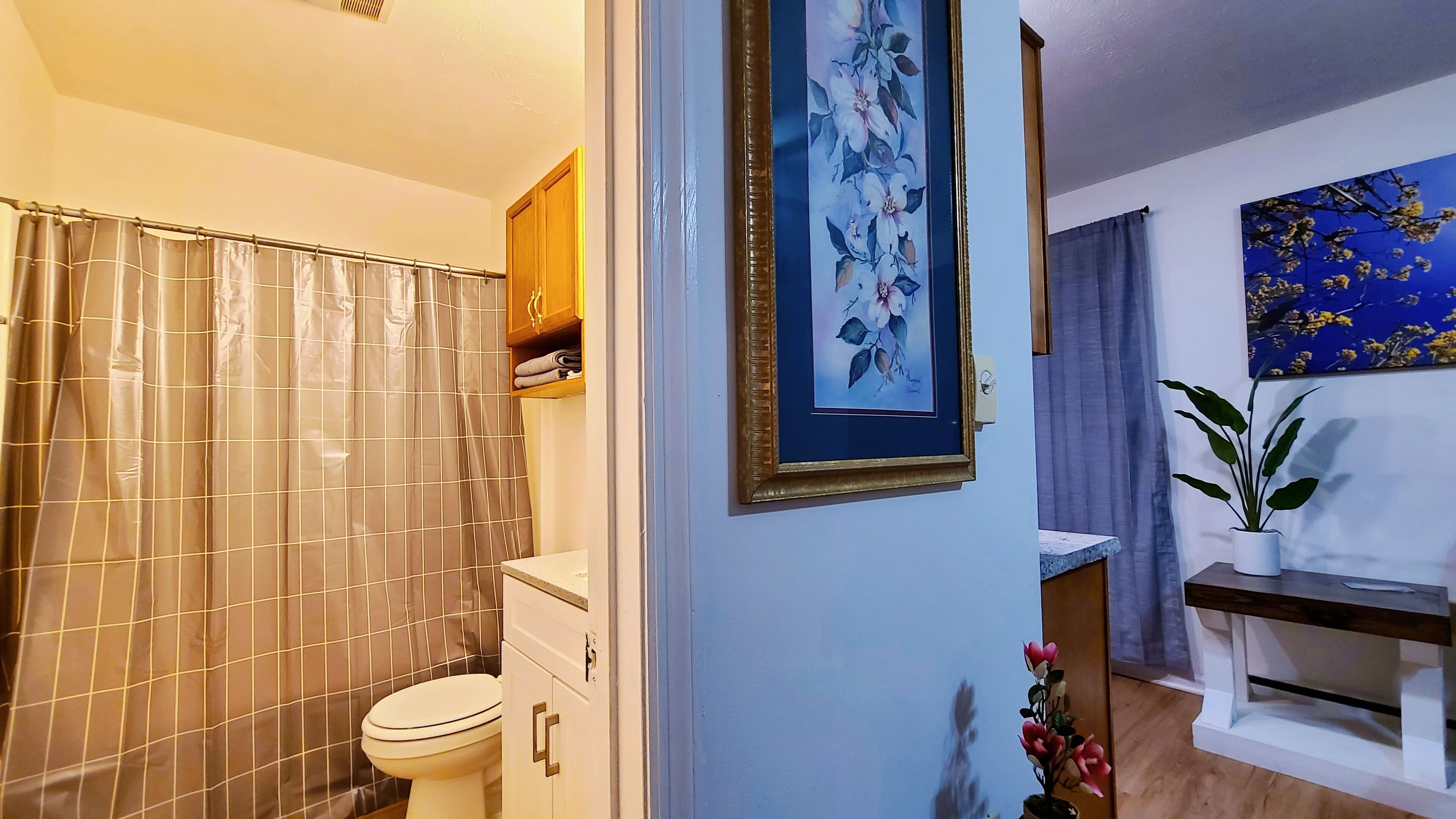 Hair dryer, towels, soap, shampoo