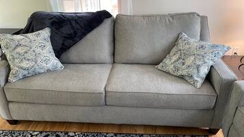 TV connectée, cheminée, livres