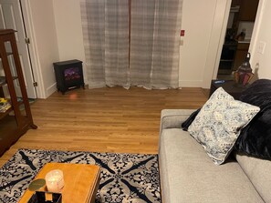 Smart TV, fireplace, books