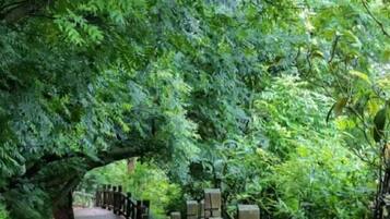 Jardines del alojamiento