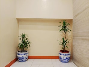 Dos plantas en macetas de cerámica azul y blanca con diseños florales, ubicadas en una esquina con una pared color beige y un piso de baldosas blancas.
