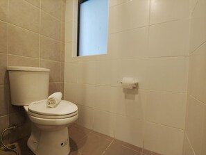 Een badkamer met een toilet, een raam en een toiletrolhouder.