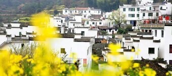 Jiangling Guesthouse