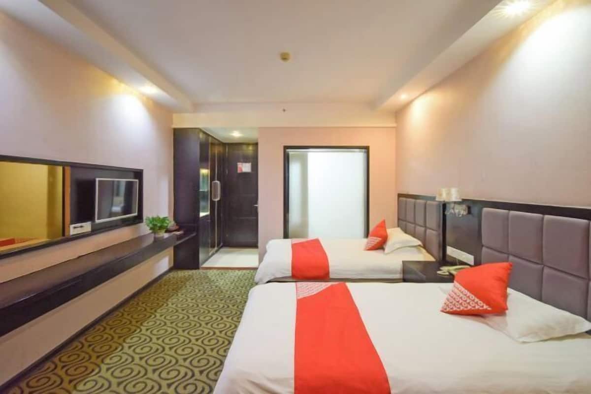 A hotel room with two beds, a TV, a mirror, and a small plant.