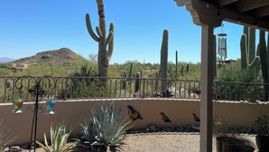 A desert landscape with cacti, a mountain, and a building with a metal fence and bird sculptures.