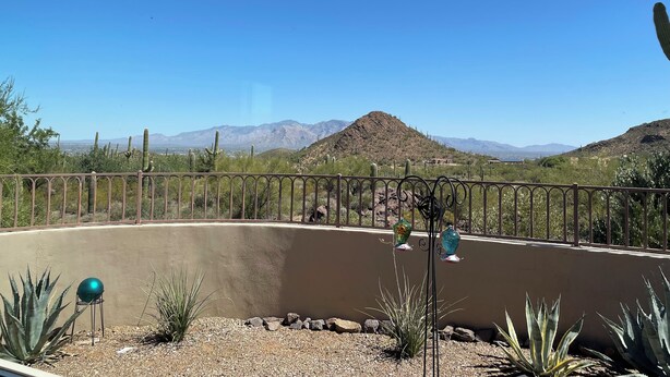 A desert landscape with cacti, a metal fence, and a clear blue sky.