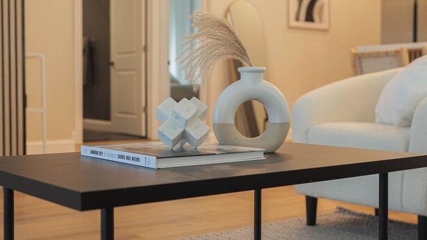 A modern living room with a black coffee table, a white sofa, and a bookshelf. - New Home, Walk to Clinic, Private Patio & Hot Tub! (Cleveland)
