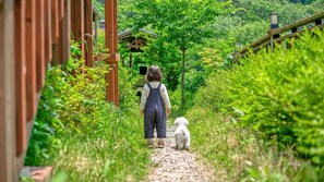 Exterior - Gapyeong Swimteo Pet Pension (Gapyeong)