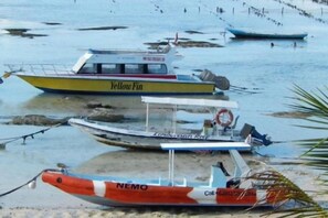 Una barca chiamata 'Yellow Fin' attraccata a una spiaggia, con un'altra barca chiamata 'Nemo' nelle vicinanze.