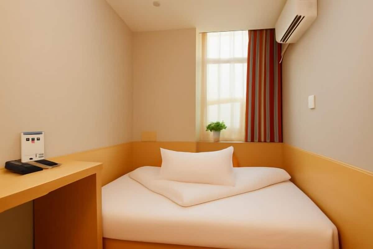 A hotel room with a bed, a desk, a plant, and an air conditioning unit.