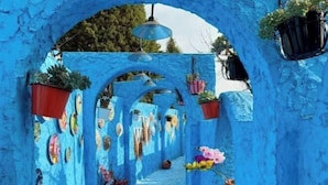 A blue-painted archway with hanging planters and decorative elements. - Yulai Hotel (Kunming)