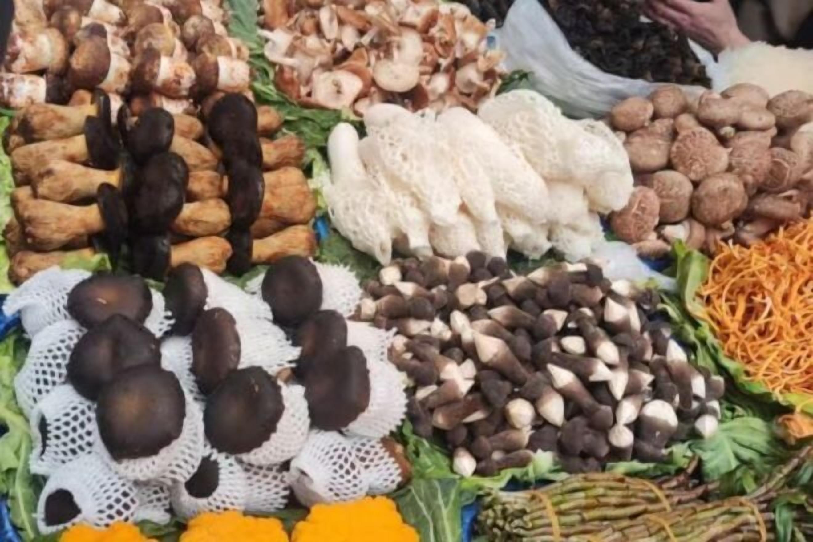 الإطلالة من المنشأة