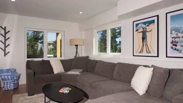 TV, fireplace, books, stereo