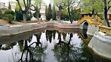 A tranquil pond with a curved stone edge and a small bridge.
