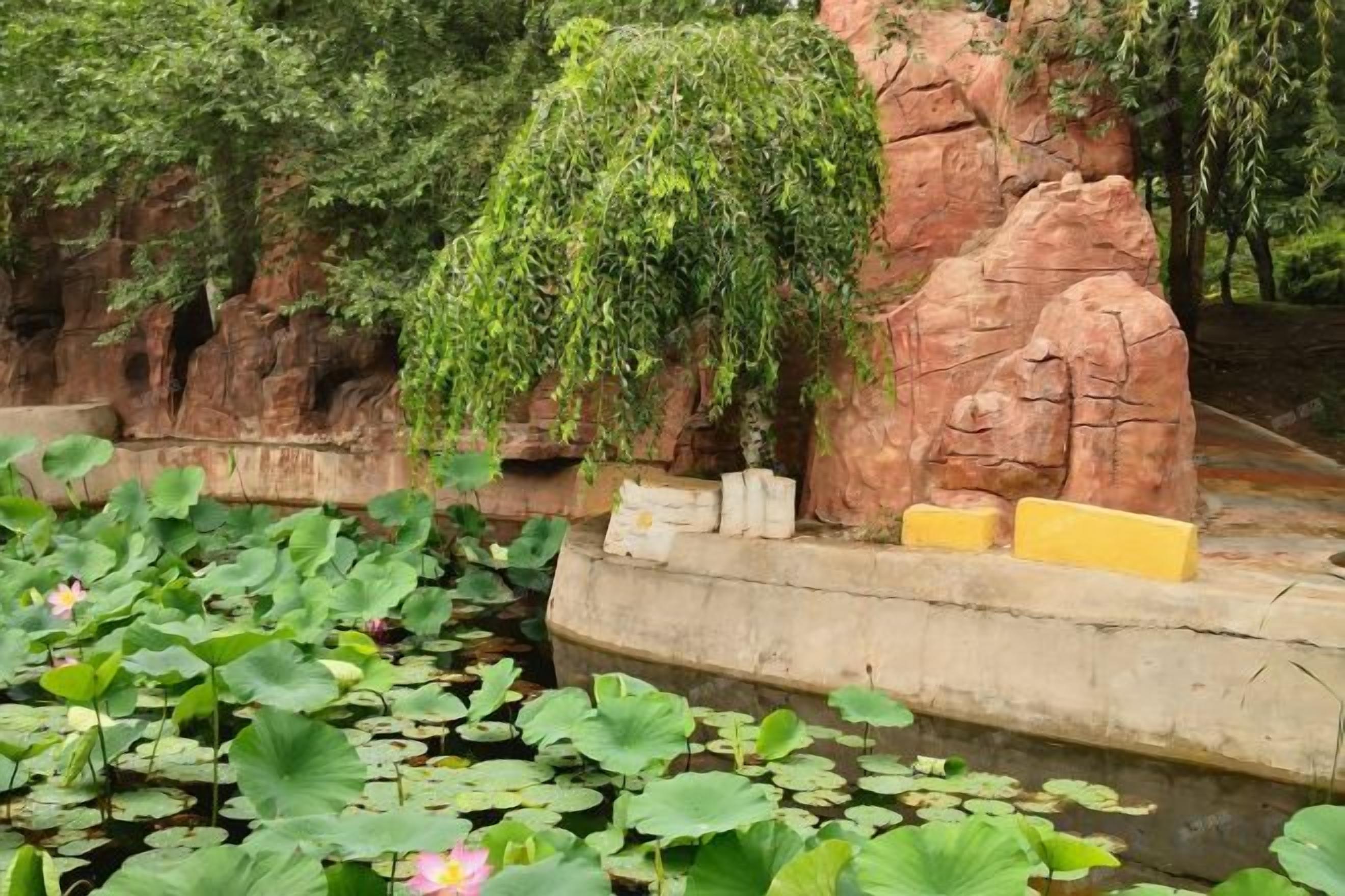 A pond with lotus flowers and a rock formation with greenery.