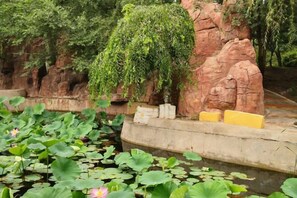 Ein Teich mit Seerosen und einer Felsformation, bewachsen mit Grün.