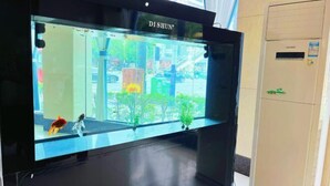 Un aquarium avec vue sur un paysage urbain, un meuble noir et un appareil de climatisation blanc.
