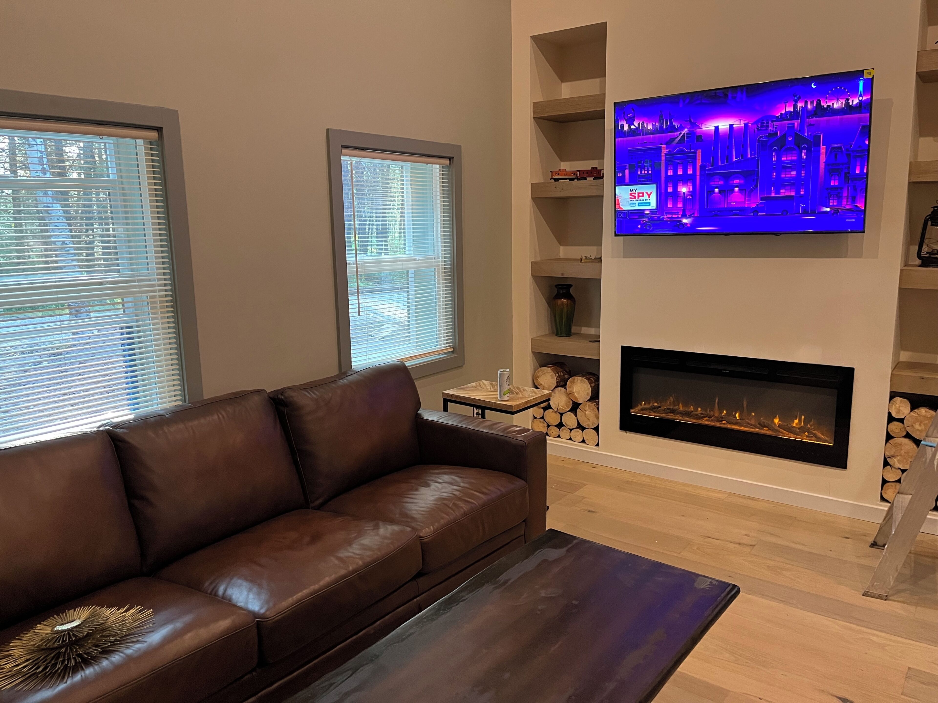 Smart TV, fireplace, books