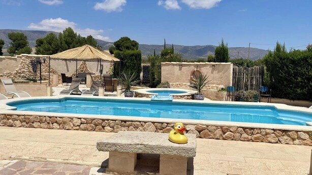 Une piscine avec des chaises longues et une petite statue de canard.