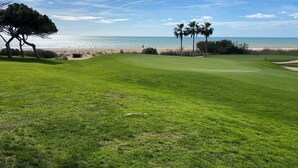 Un parcours de golf avec vue sur la plage, des palmiers et un drapeau.