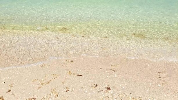 Ein Strand mit klarem türkisblauem Wasser und einem sandigen Ufer.