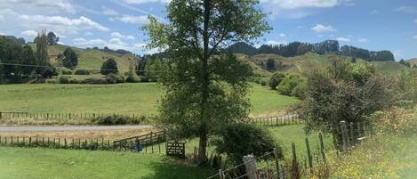 Paisaje rural con un árbol grande, campos abiertos y una valla.