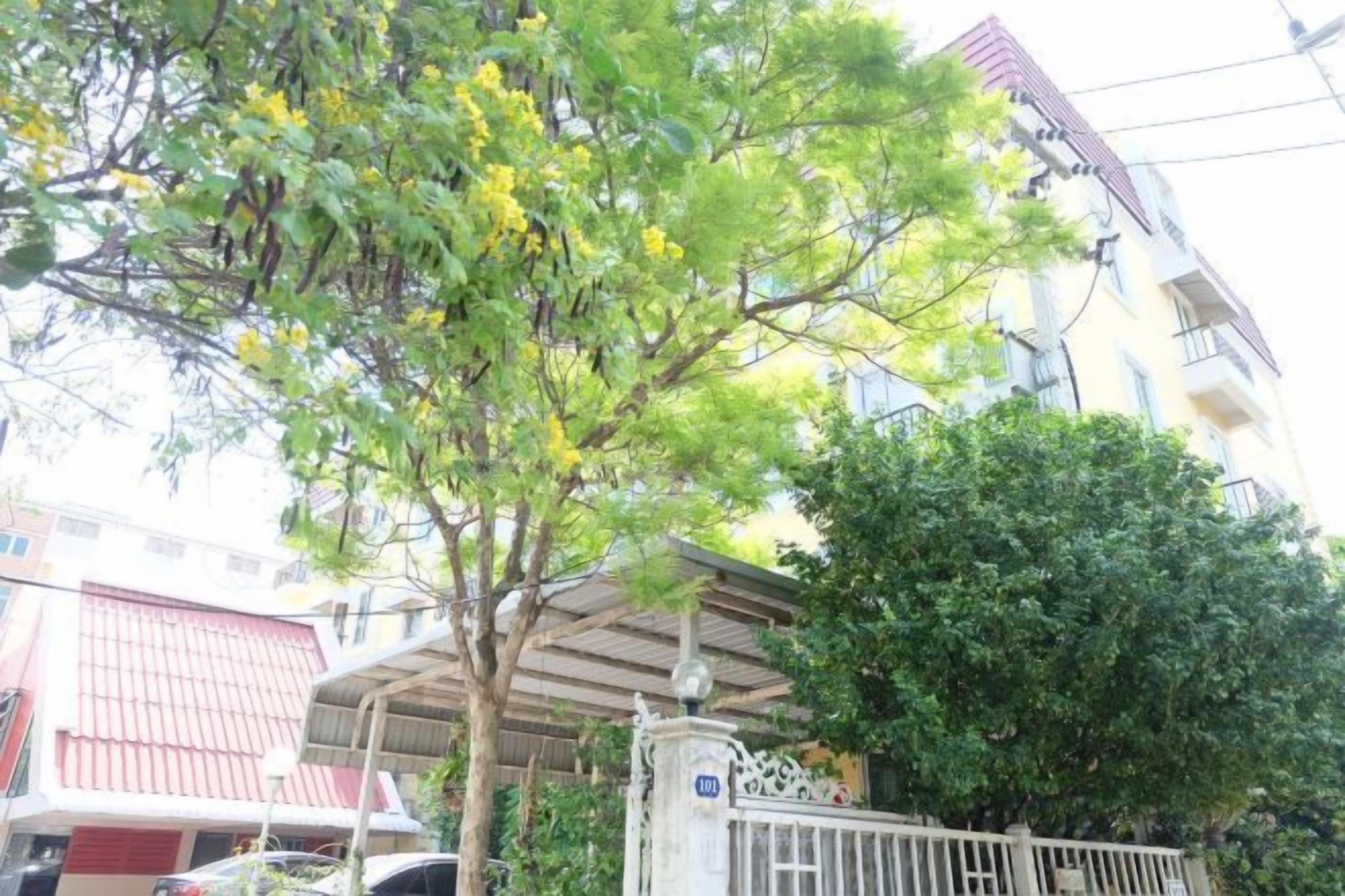 A residential building with a gated entrance, a covered carport, and a tree with yellow flowers.