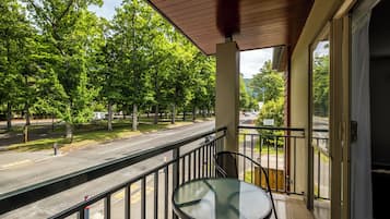 Executive Spa Studio | View from room