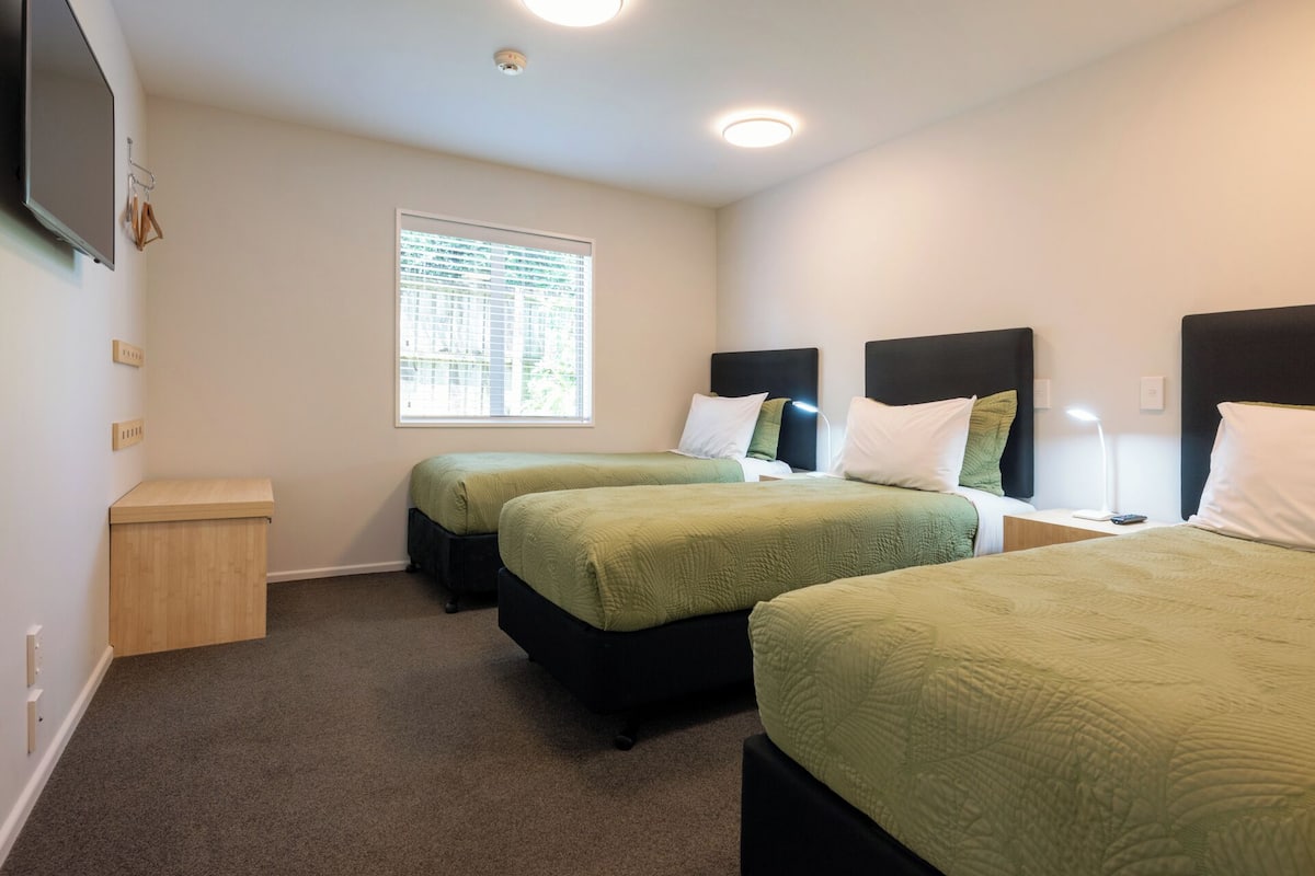 Habitación de hotel con dos camas, televisión y ventana con persianas.