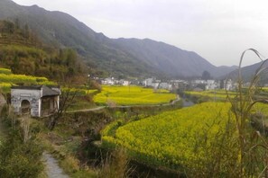 未分類的圖片,第 4 張,共 27 張,按鈕