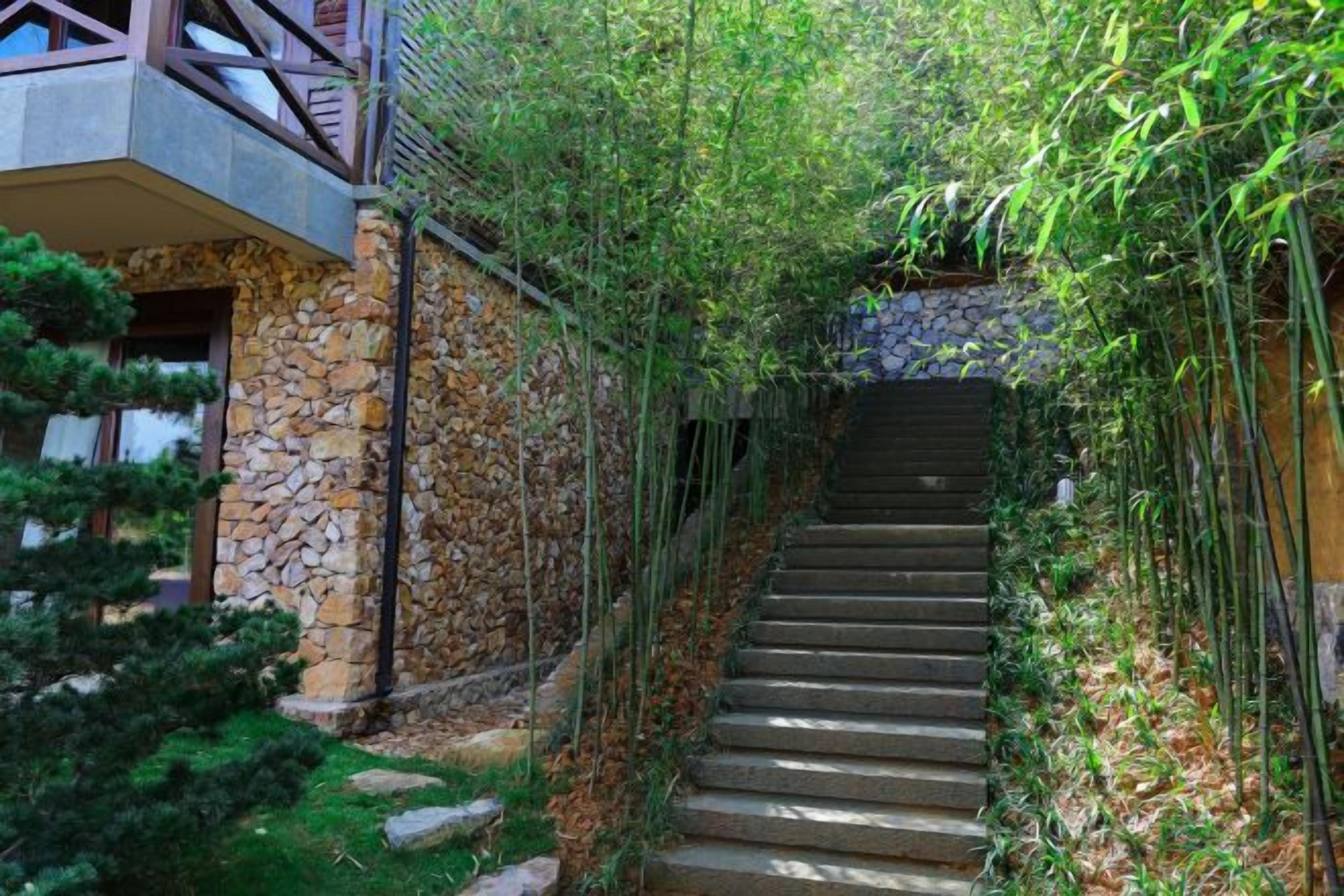 A stone staircase surrounded by greenery, leading to a building with a stone facade.