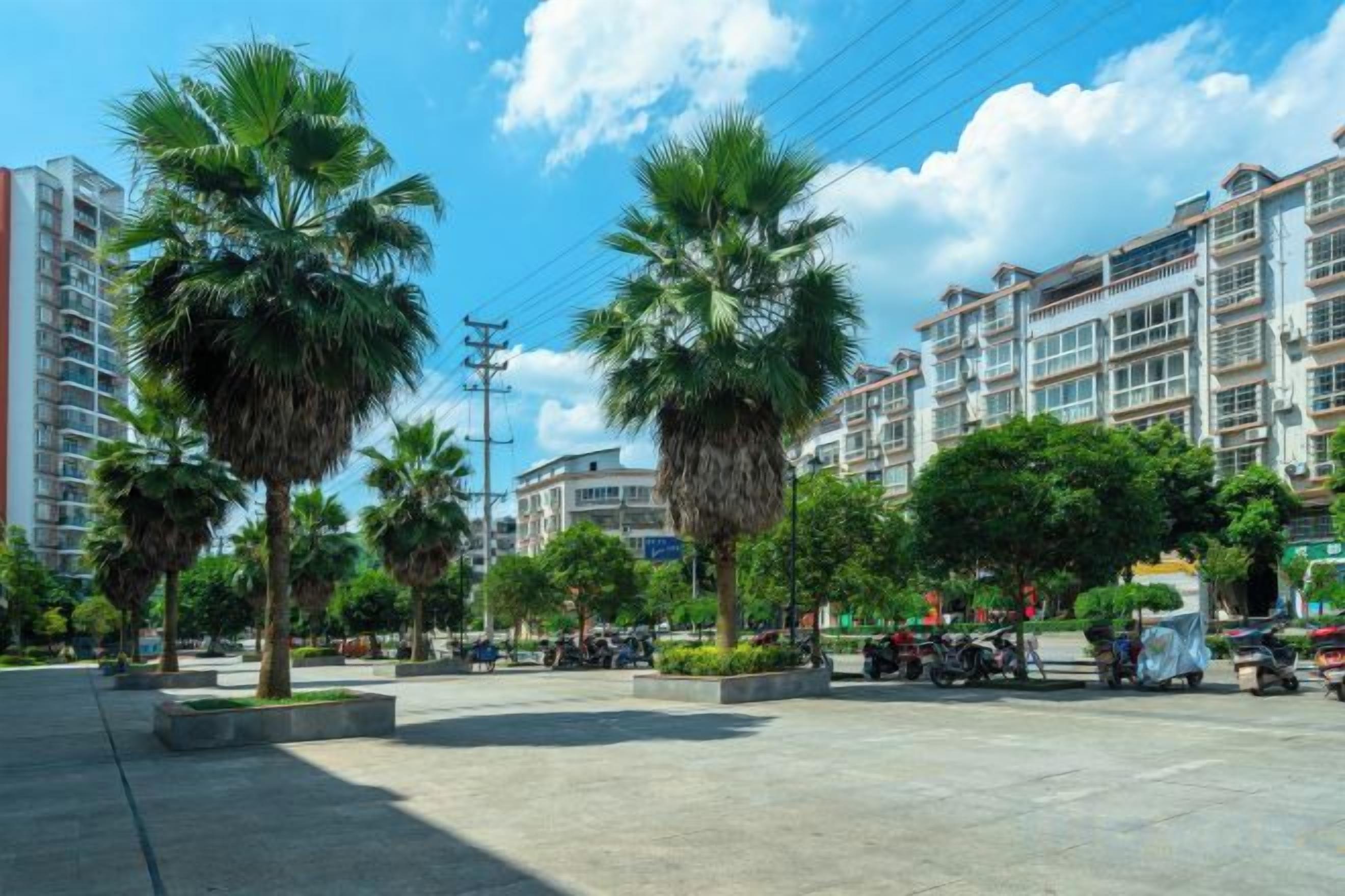A public square with palm trees, buildings, and a clear sky.