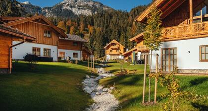 Superb chalet surrounded by nature