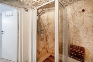 Shower, hair dryer, bidet, towels
