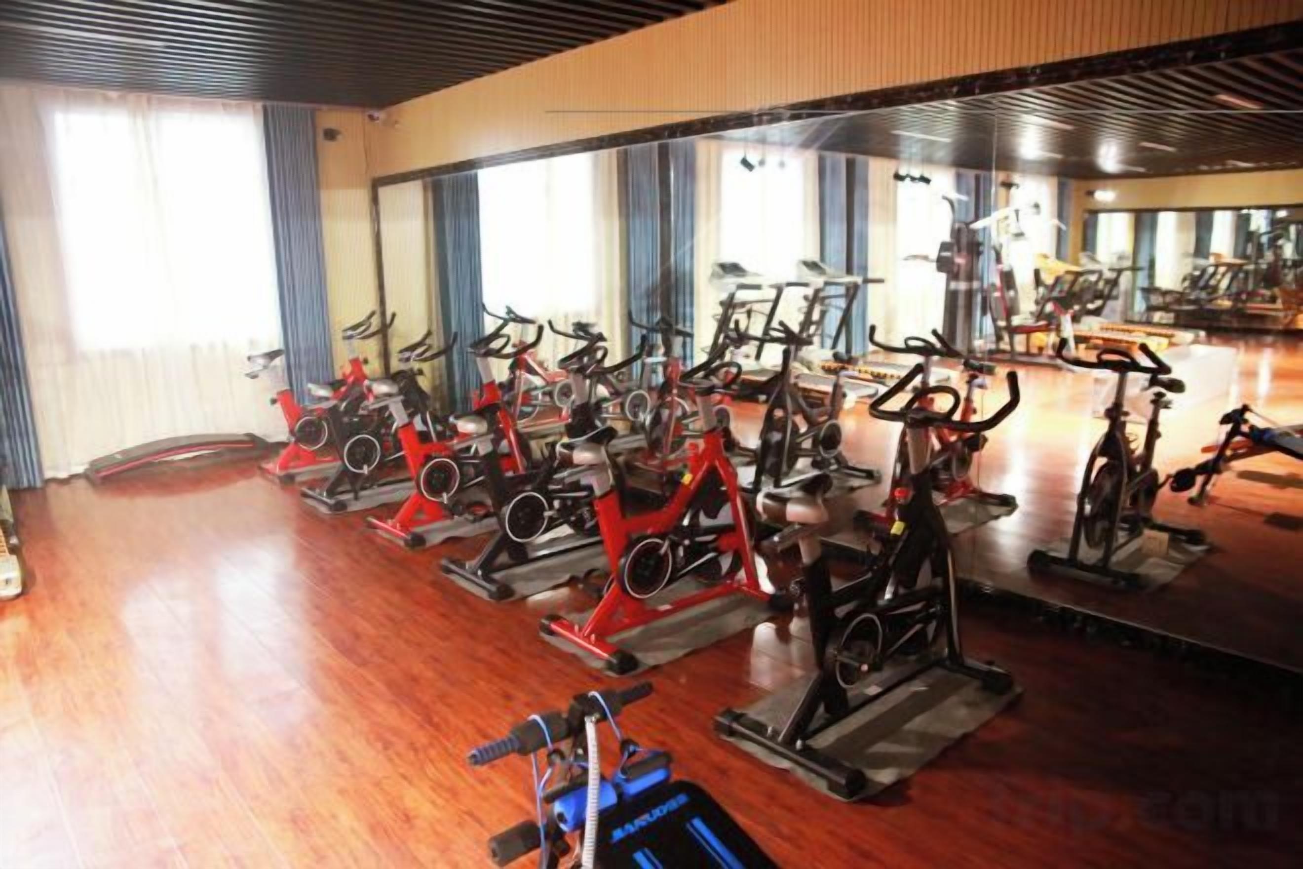 A gym with stationary bikes and treadmills arranged in rows.