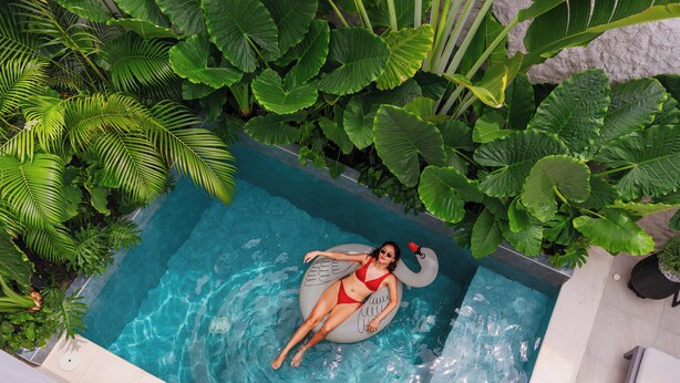 Une piscine à l’eau claire, entourée d’une végétation luxuriante.